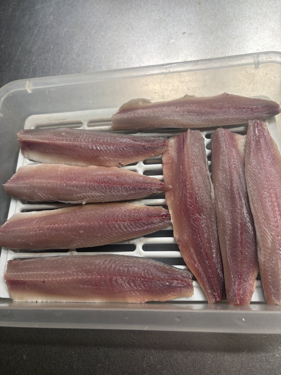 手開きした大羽イワシ